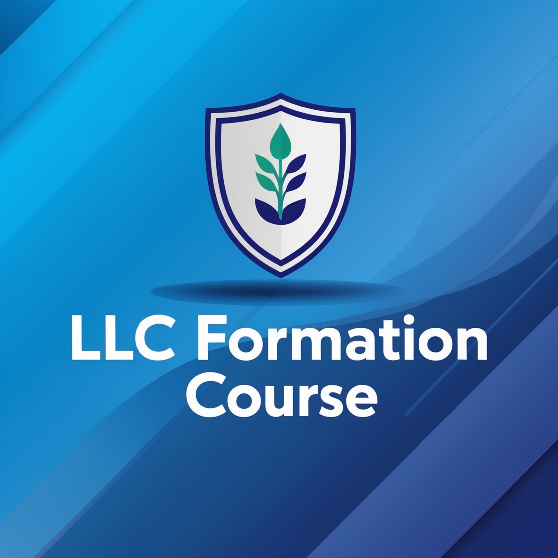 Limited Liability Company (LLC) Formation and Management